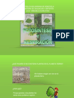 fotosintesis y respiracion (1).pptx