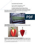 Pimiento PDF