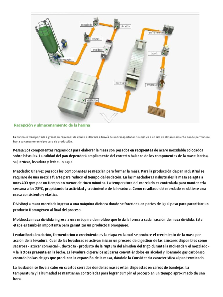 Recepción y almacenamiento de la harina.docx | Panes | Levadura
