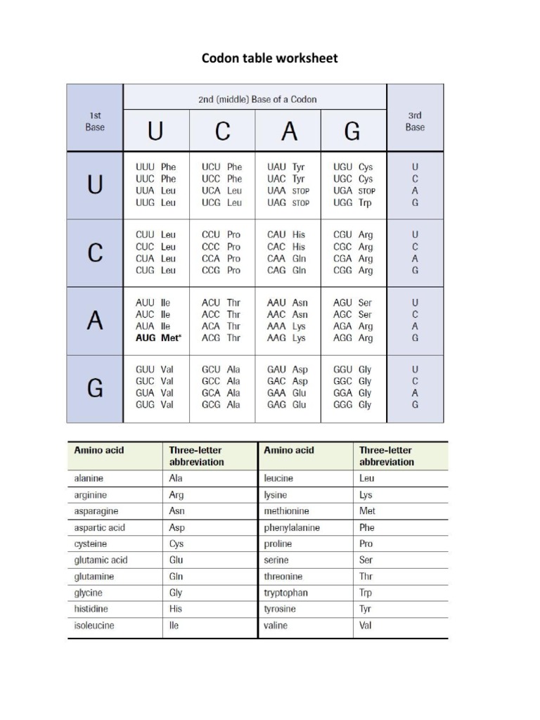 Codon Table Worksheet