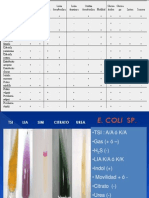 Bacterias-TSI-LIA-SIM-Citrato-Urea