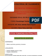 INFORME FINAL DE PRACTICAS DE PARASITOS II.pptx