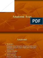 Anatomi Asas Level 1
