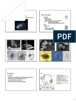 05 Giardia Lamblia PDF