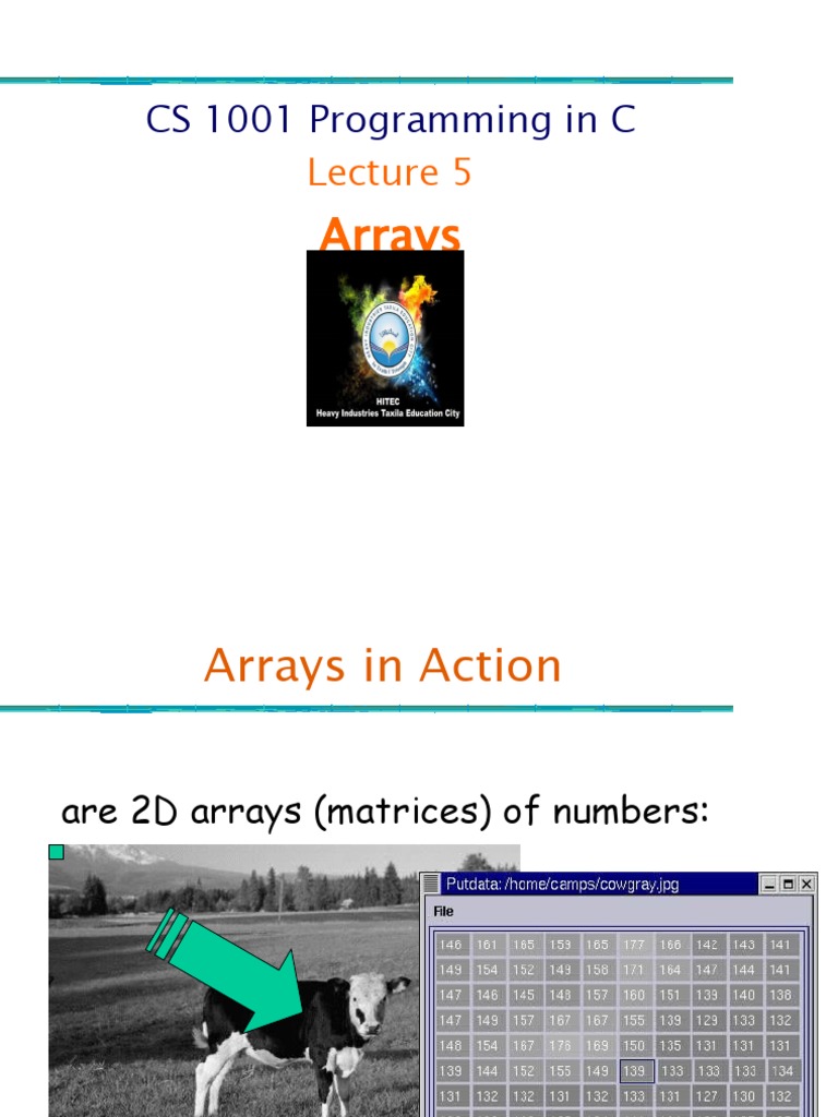 CS 1001 Programming in C Lecture 5 | PDF | Matrix (Mathematics) | Array ...