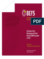 Overview of The Bioenergy and Food Security (BEFS) Project in FAO