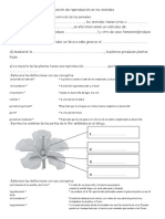 Conocimiento Tema 4 PDF