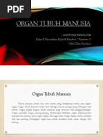 Download Fungsi Organ Tubuh Manusia by Dini Pasadina SN243439889 doc pdf