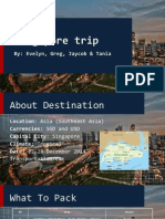 travel project