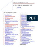 66702226-Manual-Charlas-de-Seguridad-5-Min.doc