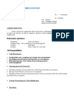 Curriculum Vitae: Professional Experience