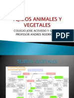 TEJIDOS ANIMALES Y VEGETALES.pptx