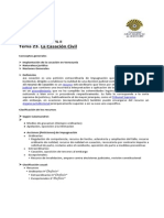 GUIA Tema23_RECURS_CASAC_CIV_2014 (2).docx