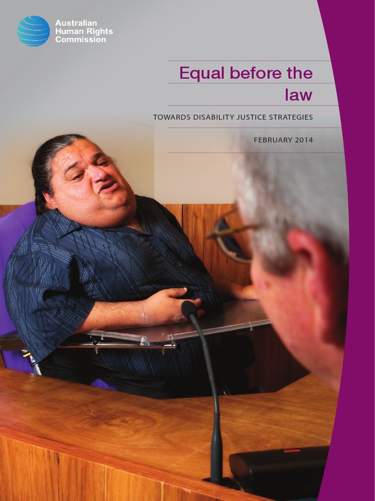 Disability Justice Strategies Report | PDF | Victimology | Violence