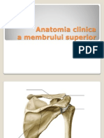 Membrul Superior Anatomie Clinica