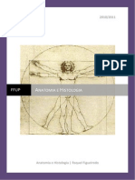 Sebenta Anatomia 1ª Parte.pdf