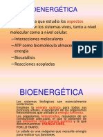 Bioenergética 2014-1