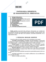Paladi Obstetrica II PDF