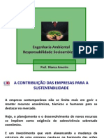 Responsabilidade Social.pdf