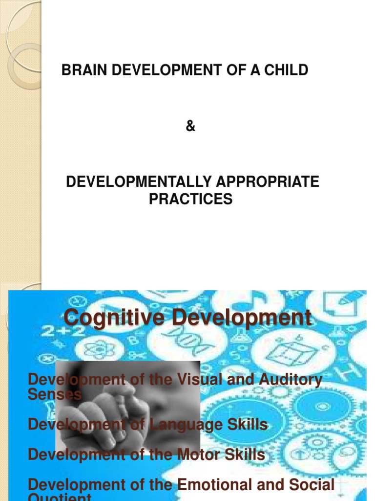 Brain Development of A Child | PDF