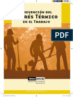 Estres Termico PDF