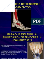 5.tendones y Ligamentos PDF