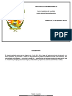 Causa y Efecto PDF