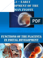 Content Placenta