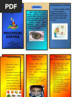 Leaflet Anemia