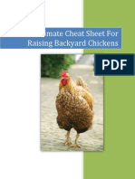 Your Ultimate Guide to Raising Backyard Chickens