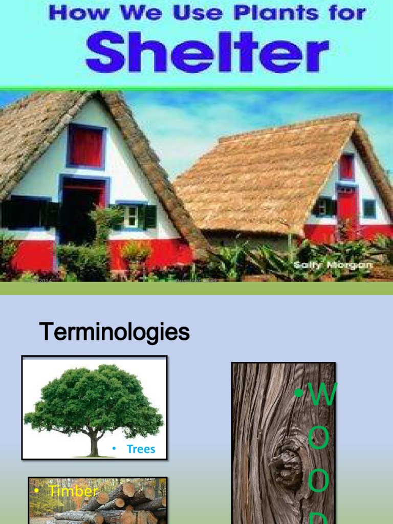 Plants As Shelter PDF Trees Wood