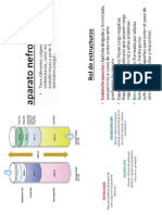 homeostasis hidroelectrolitica imp.pdf