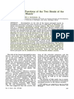 The Independent Funciont of The Two Heads of The Lateral Pterygoid Muscle PDF