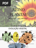 aula botanica.ppt