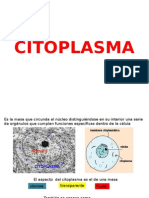 2 Citoplasma
