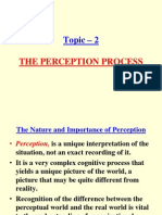 5. the Perception Process