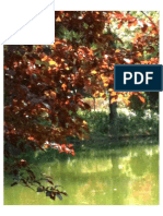 Red Tree PDF