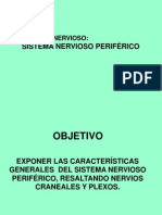 Generalidades Del Sistema Nervioso Periferico