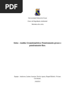 Universidade Federal do Ceará- analise granulométrica.docx