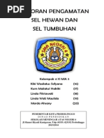 Download LAPORAN BIOLOGI JARINGAN SEL TUMBUHAN DAN SEL HEWAN by Marda Ahsany SN243573738 doc pdf