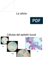 Lab4.pdf