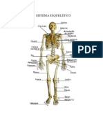 imagens_de_anatomia.doc