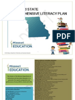 literacy plan