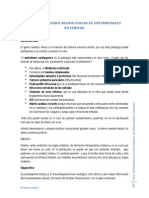 Manif Neuro de Enferm Sistemicas PDF