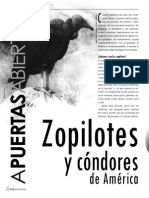 Zopilotes PDF