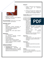 Microorganismos Que Afectan SN