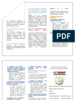 RESTRICCIONES Y PROHIBICIONES DE LA IMPORTACIÒN. Triptico