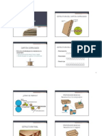 Cartón Corrugado PDF