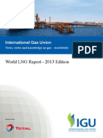 Online Version World Lng Report 2013 Edition Original (1)