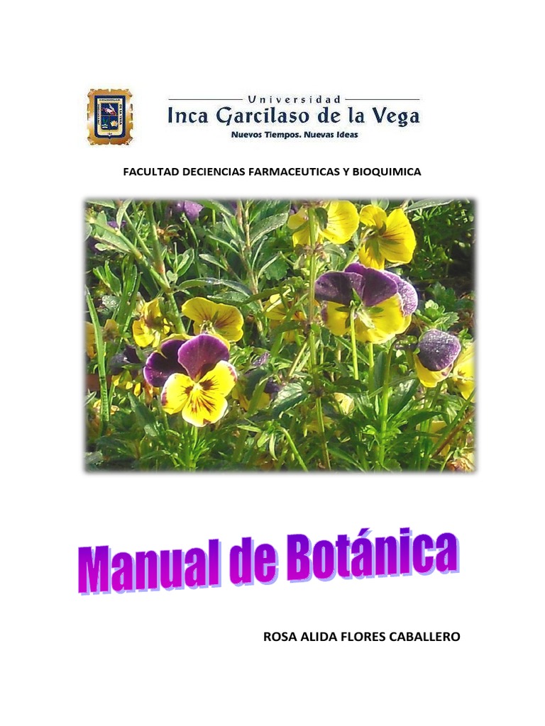 Manual de Botanica PDF | PDF | Raíz | Tallo de la planta